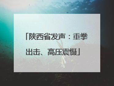 陕西省发声：重拳出击、高压震慑
