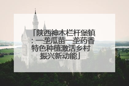 陕西神木栏杆堡镇：一垄瓜苗一垄药香 特色种植激活乡村振兴新动能