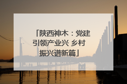 陕西神木：党建引领产业兴 乡村振兴谱新篇