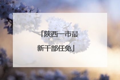 陕西一市最新干部任免
