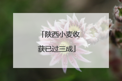 陕西小麦收获已过三成
