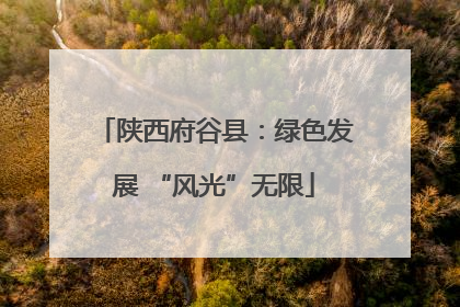 陕西府谷县：绿色发展 “风光”无限