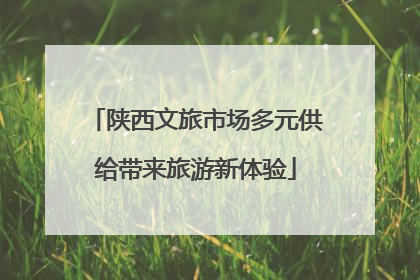 陕西文旅市场多元供给带来旅游新体验