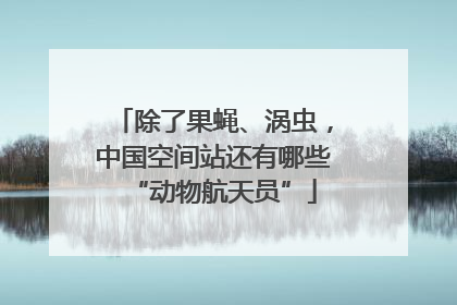 除了果蝇、涡虫，中国空间站还有哪些“动物航天员”