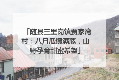 随县三里岗镇贾家湾村：八月瓜缀满藤，山野孕育甜蜜希望