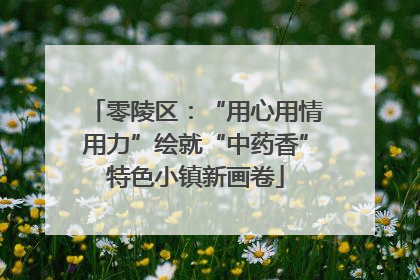 零陵区：“用心用情用力”绘就“中药香”特色小镇新画卷