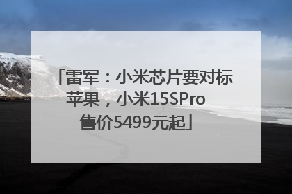 雷军：小米芯片要对标苹果，小米15SPro售价5499元起