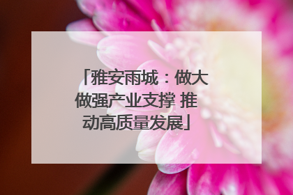 雅安雨城：做大做强产业支撑 推动高质量发展