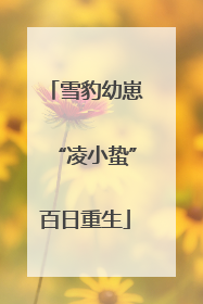 雪豹幼崽“凌小蛰”百日重生