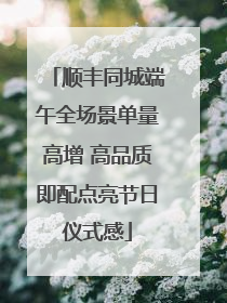 顺丰同城端午全场景单量高增 高品质即配点亮节日仪式感