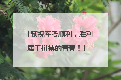 预祝军考顺利，胜利属于拼搏的青春！