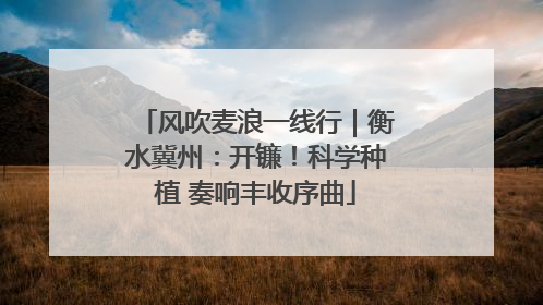 风吹麦浪一线行｜衡水冀州：开镰！科学种植 奏响丰收序曲