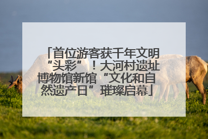 首位游客获千年文明“头彩”！大河村遗址博物馆新馆“文化和自然遗产日”璀璨启幕
