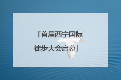 首届西宁国际徒步大会启幕