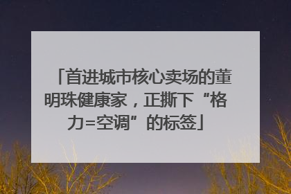 首进城市核心卖场的董明珠健康家，正撕下“格力=空调”的标签