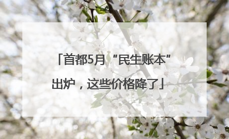 首都5月“民生账本”出炉，这些价格降了