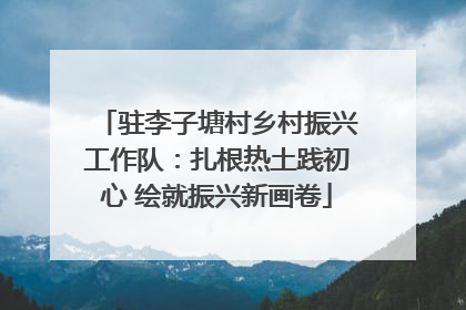 驻李子塘村乡村振兴工作队：扎根热土践初心 绘就振兴新画卷