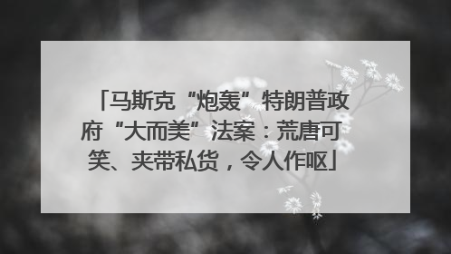 马斯克“炮轰”特朗普政府“大而美”法案：荒唐可笑、夹带私货，令人作呕