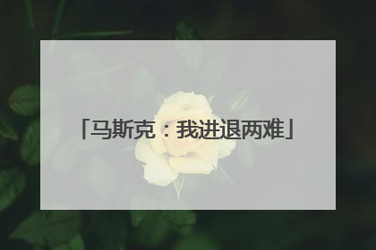 马斯克：我进退两难