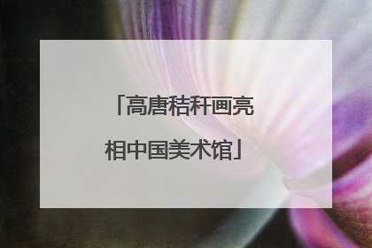高唐秸秆画亮相中国美术馆