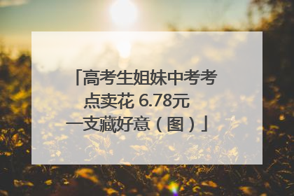 高考生姐妹中考考点卖花 6.78元一支藏好意（图）