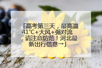 高考第三天，最高温41℃+大风+强对流，请注意防范！河北最新出行信息→