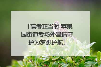 高考正当时 苹果园街道考场外温情守护为梦想护航