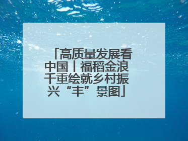 高质量发展看中国丨福稻金浪千重绘就乡村振兴“丰”景图