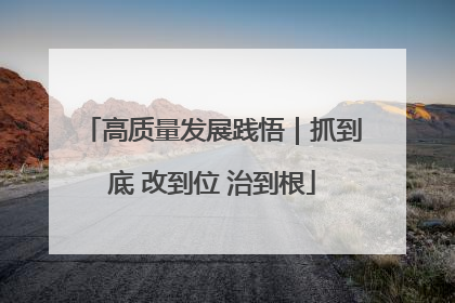 高质量发展践悟｜抓到底 改到位 治到根