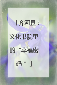 齐河县：文化书院里的“幸福密码 ”