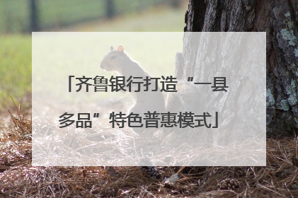 齐鲁银行打造“一县多品”特色普惠模式