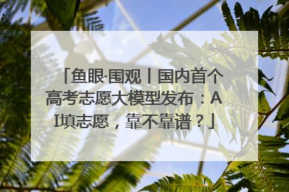 鱼眼·围观丨国内首个高考志愿大模型发布：AI填志愿，靠不靠谱？