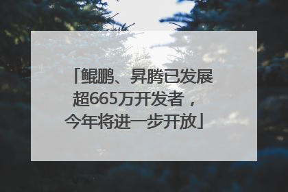 鲲鹏、昇腾已发展超665万开发者，今年将进一步开放