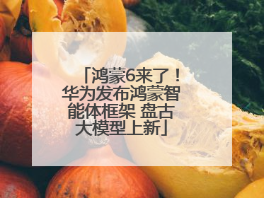 鸿蒙6来了！华为发布鸿蒙智能体框架 盘古大模型上新