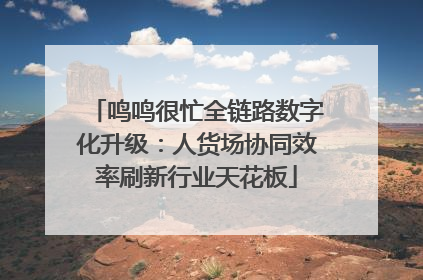 鸣鸣很忙全链路数字化升级：人货场协同效率刷新行业天花板