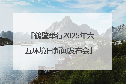 鹤壁举行2025年六五环境日新闻发布会