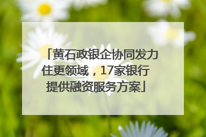 黄石政银企协同发力住更领域，17家银行提供融资服务方案