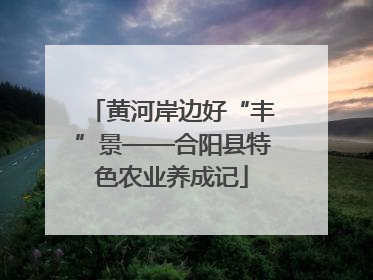 黄河岸边好“丰”景——合阳县特色农业养成记