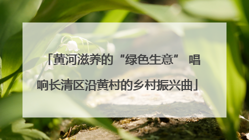黄河滋养的“绿色生意” 唱响长清区沿黄村的乡村振兴曲
