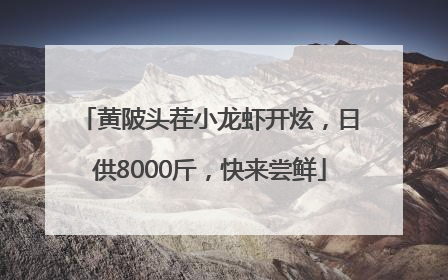 黄陂头茬小龙虾开炫，日供8000斤，快来尝鲜