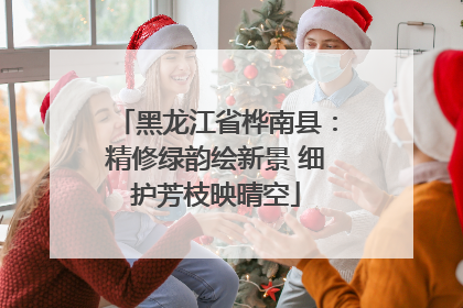 黑龙江省桦南县：精修绿韵绘新景 细护芳枝映晴空