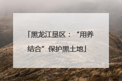 黑龙江垦区：“用养结合”保护黑土地