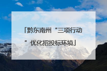 黔东南州“三项行动”优化招投标环境
