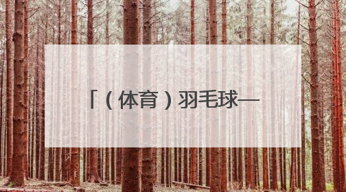 （体育）羽毛球——新加坡公开赛：陆光祖获男单亚军