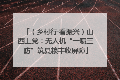 （乡村行·看振兴）山西上党：无人机“一喷三防”筑夏粮丰收屏障