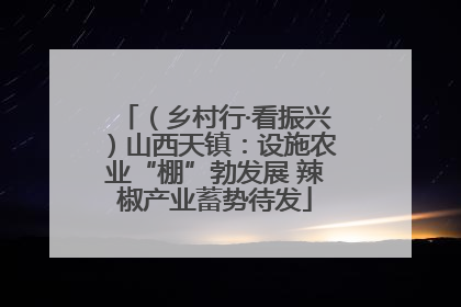 （乡村行·看振兴）山西天镇：设施农业“棚”勃发展 辣椒产业蓄势待发