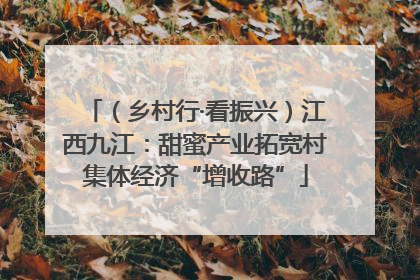 （乡村行·看振兴）江西九江：甜蜜产业拓宽村集体经济“增收路”