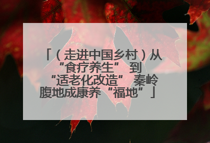 （走进中国乡村）从 “食疗养生” 到 “适老化改造” 秦岭腹地成康养“福地”