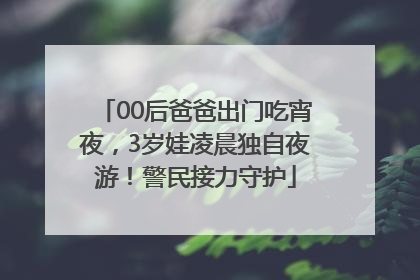 00后爸爸出门吃宵夜，3岁娃凌晨独自夜游！警民接力守护