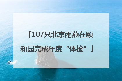 107只北京雨燕在颐和园完成年度“体检”